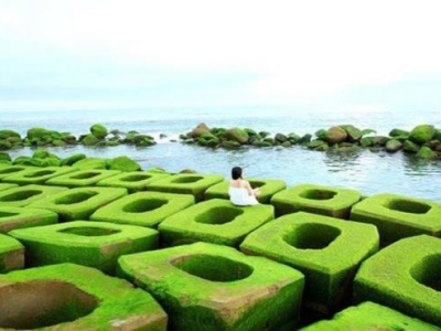 Sài Gòn <=> Phú Yên